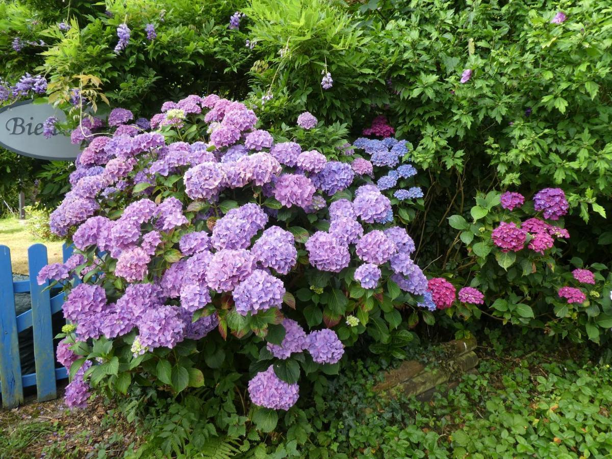 ElliantNuances Bretonnes住宿加早餐旅馆 外观 照片